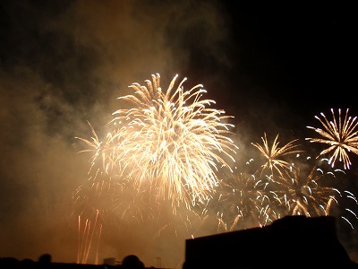 東京競馬場 花火大会レポ 混雑具合は 場所取りは 出店ある