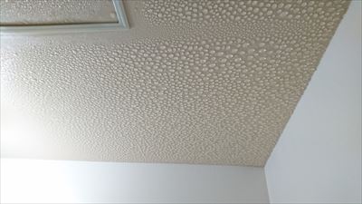 浴室の天井から水滴 結露はカビの原因 拭き取りより100均で